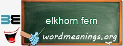 WordMeaning blackboard for elkhorn fern